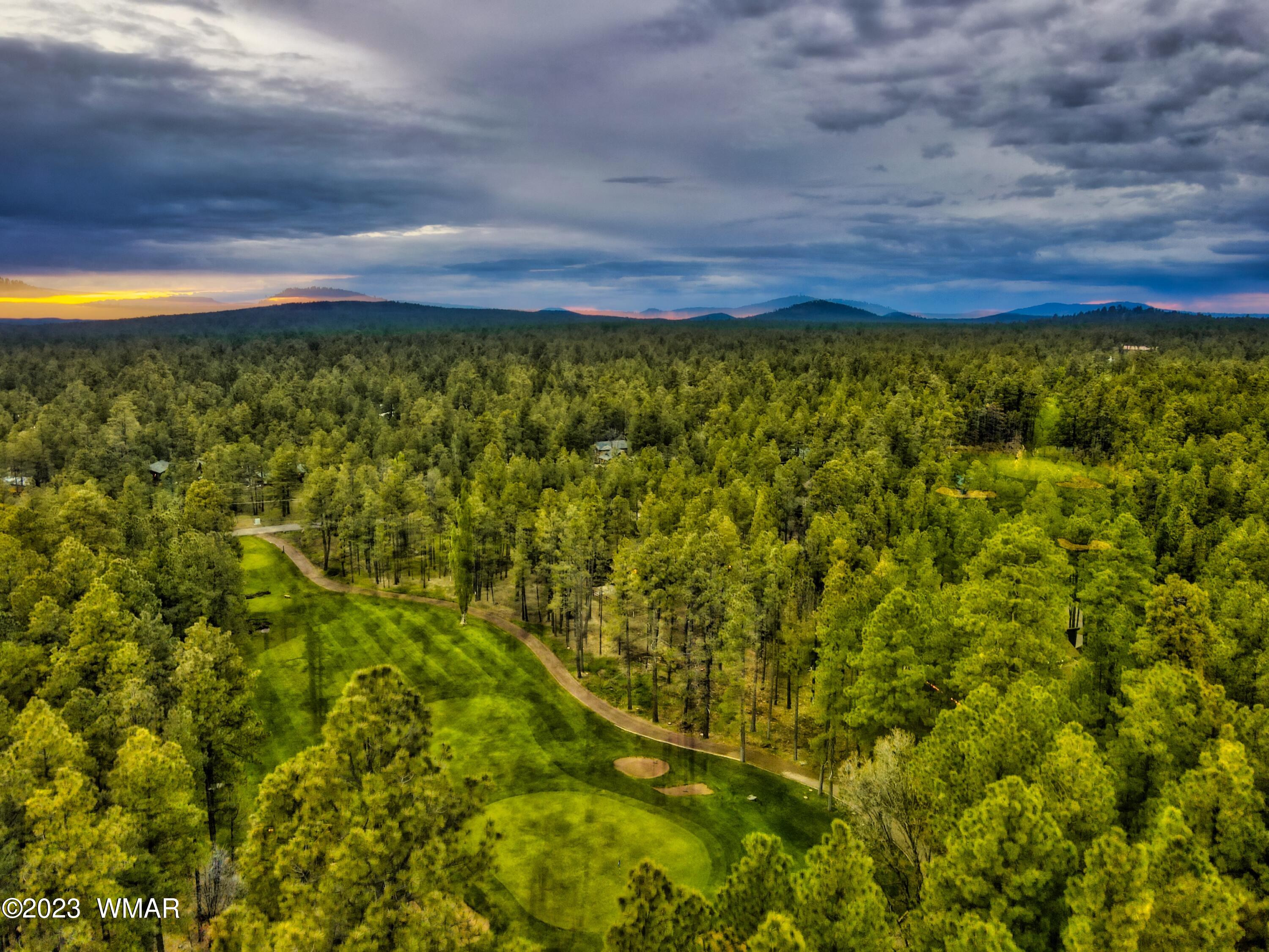 7585 White Oak Road Pinetop, AZ 85935 - Photo 68 of 88