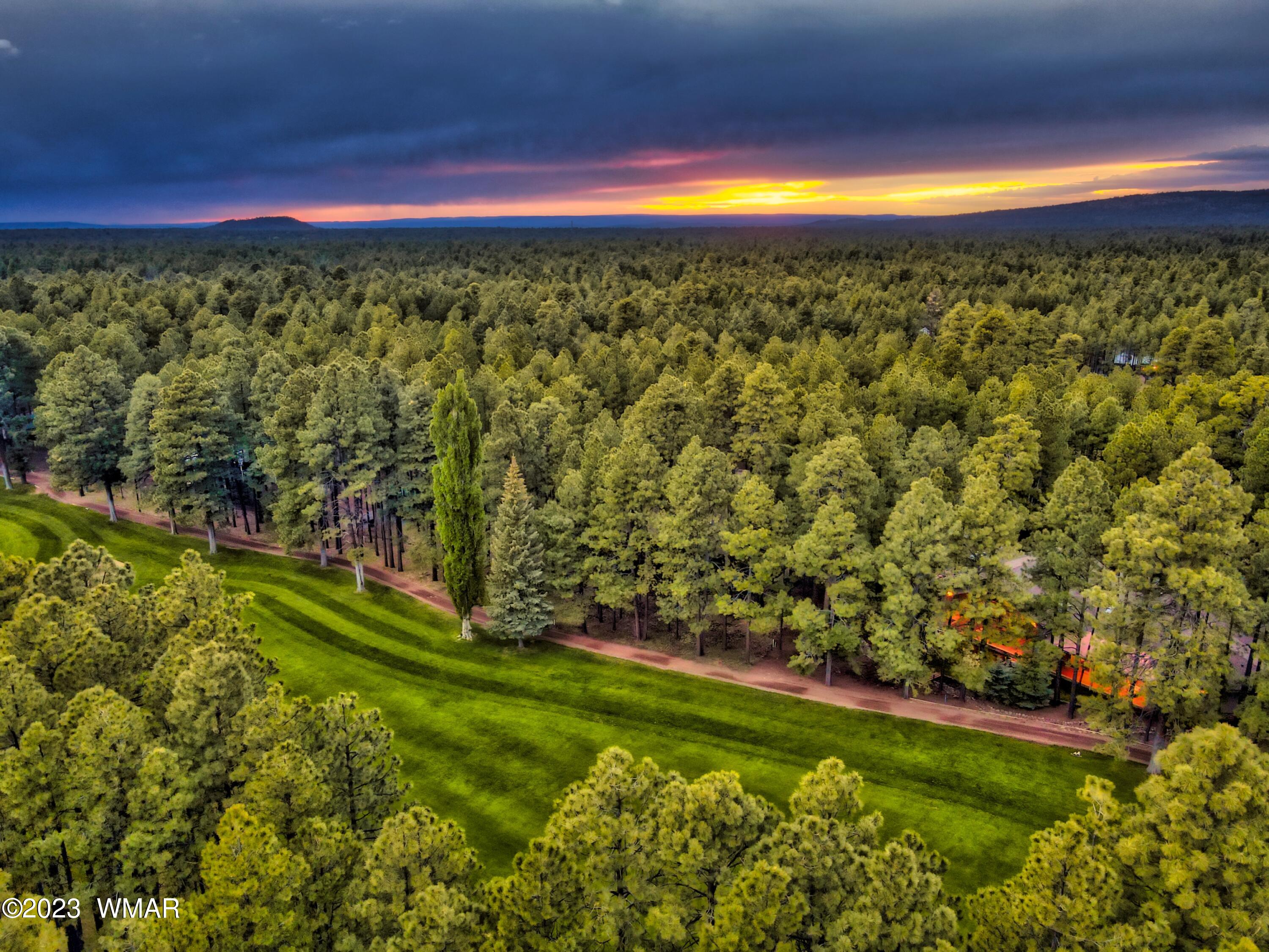 7585 White Oak Road Pinetop, AZ 85935 - Photo 10 of 88