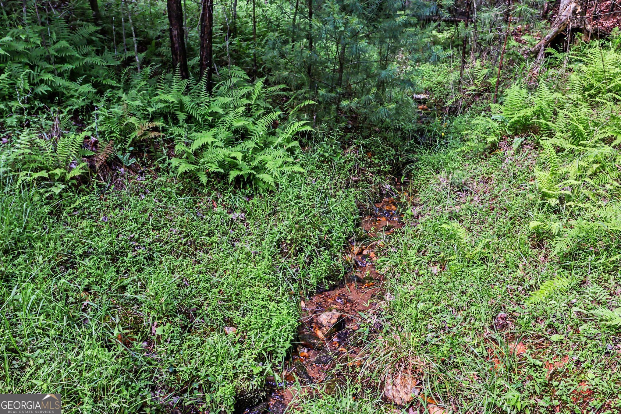 230 Rushing Water Drive Blairsville, GA 30512 - Photo 21 of 22