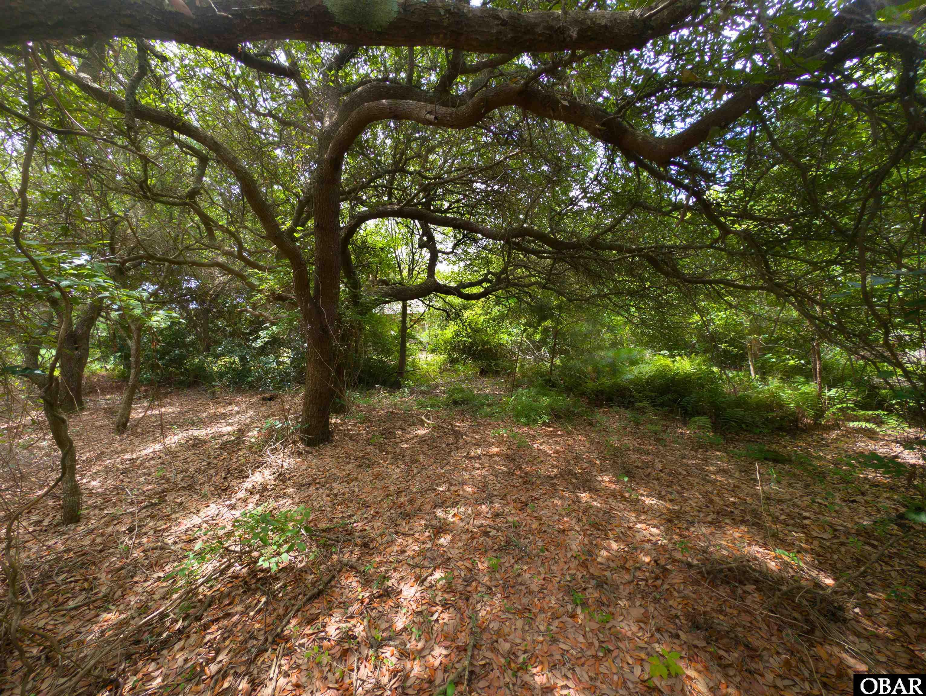 2362 Sandpiper Road Corolla, NC 27927 - Photo 11 of 13