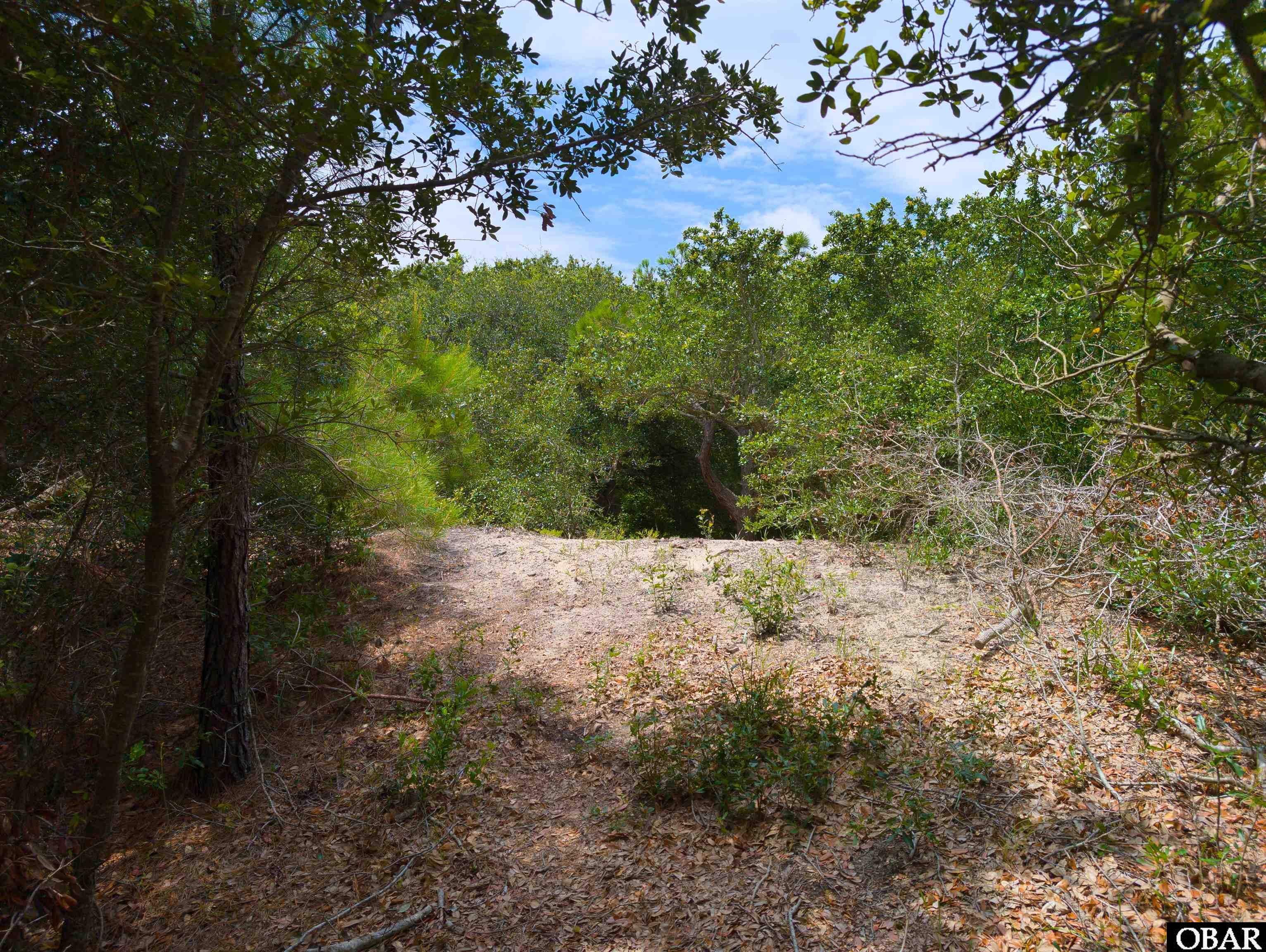 2362 Sandpiper Road Corolla, NC 27927 - Photo 8 of 13