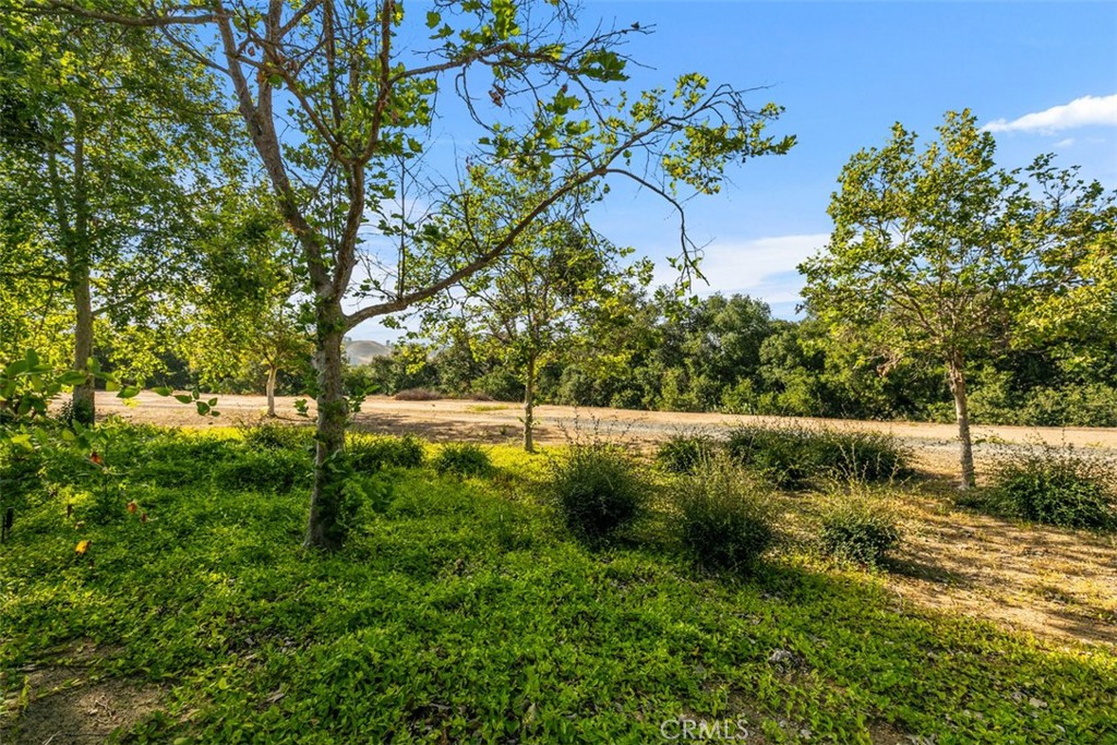 9 Acorn Ridge Rancho Santa Margarita, CA 92688 - Photo 6 of 39 These are the views from the backyard
