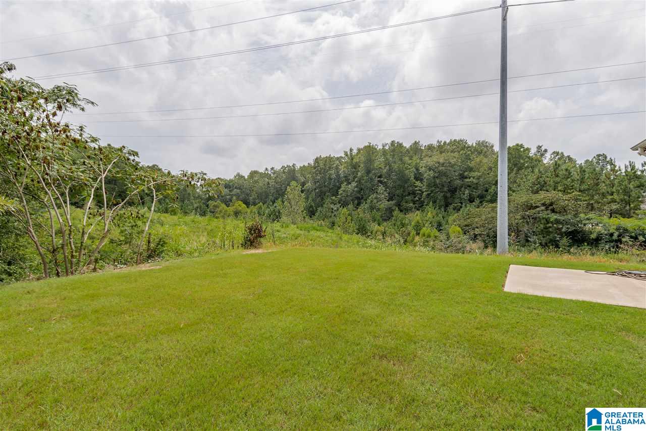 5866 Ridgeline Drive Bessemer, AL 35022 - Photo 36 of 36
