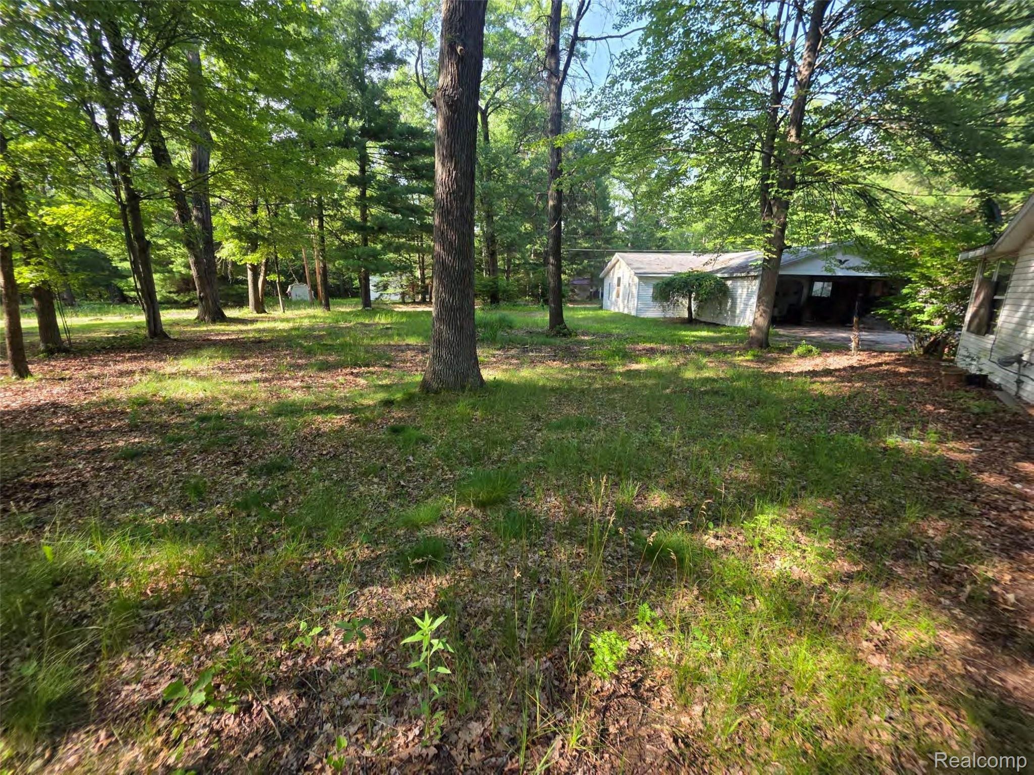 5420 Randy Drive Prescott, MI 48756 - Photo 13 of 31 Expansive wooded lot featuring mature trees and a detached white outbuilding with an attached carport