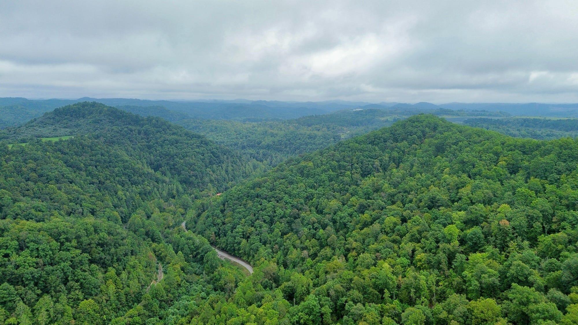 9074 Wolf Creek Road Pilgrim, KY 41250 - Photo 75 of 133 Aerial of Property