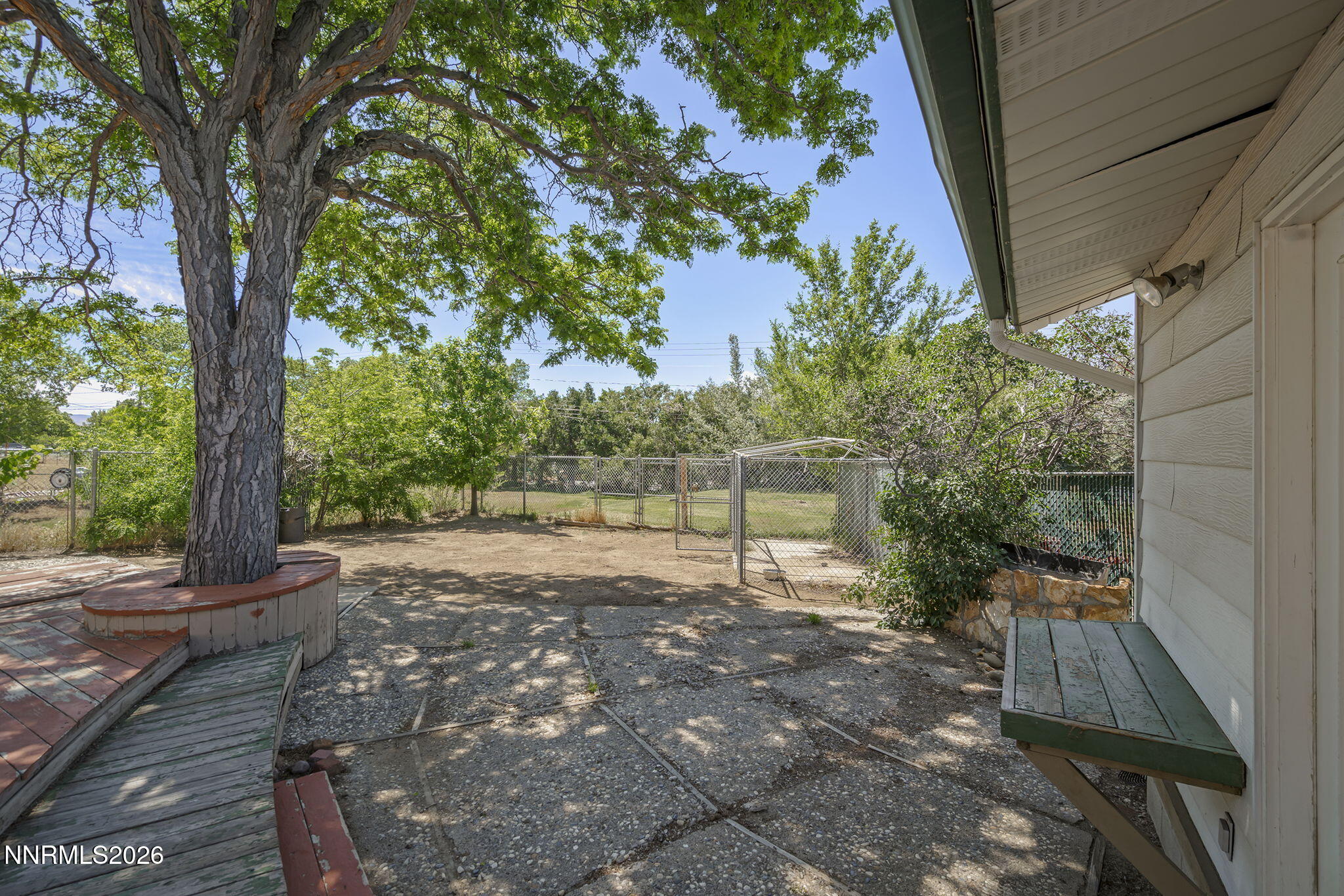 549 Ruby Lane Carson City, NV 89706 - Photo 24 of 37 a view of a yard with plants and a large tree