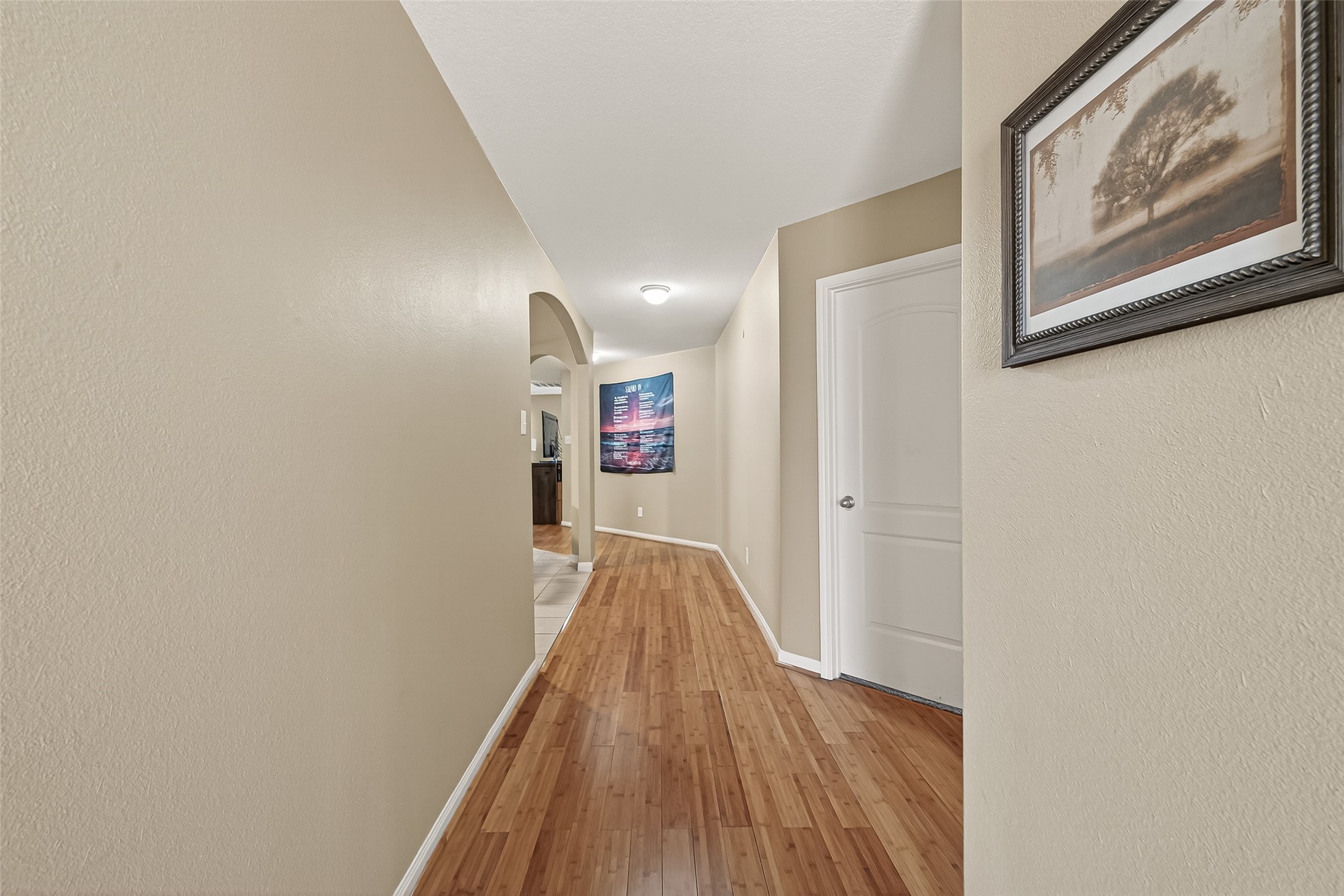 22706 Tabberts Way Hockley, TX 77447 - Photo 8 of 37