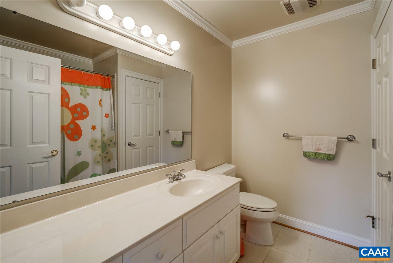 3465 Darby Road Keswick, VA 22947 - Photo 30 of 48 a bathroom with a sink a toilet and shower