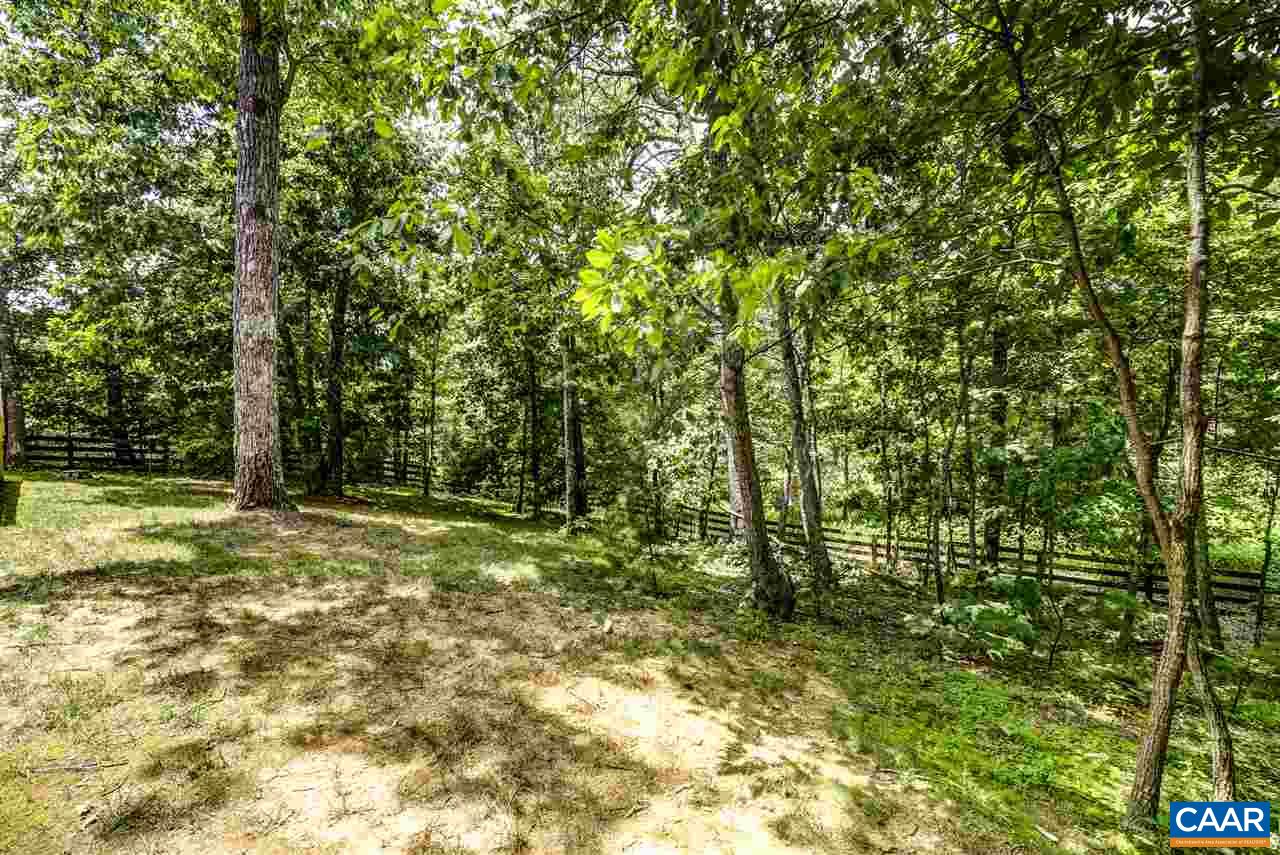 3465 Darby Road Keswick, VA 22947 - Photo 39 of 48 a view of a yard with a tree