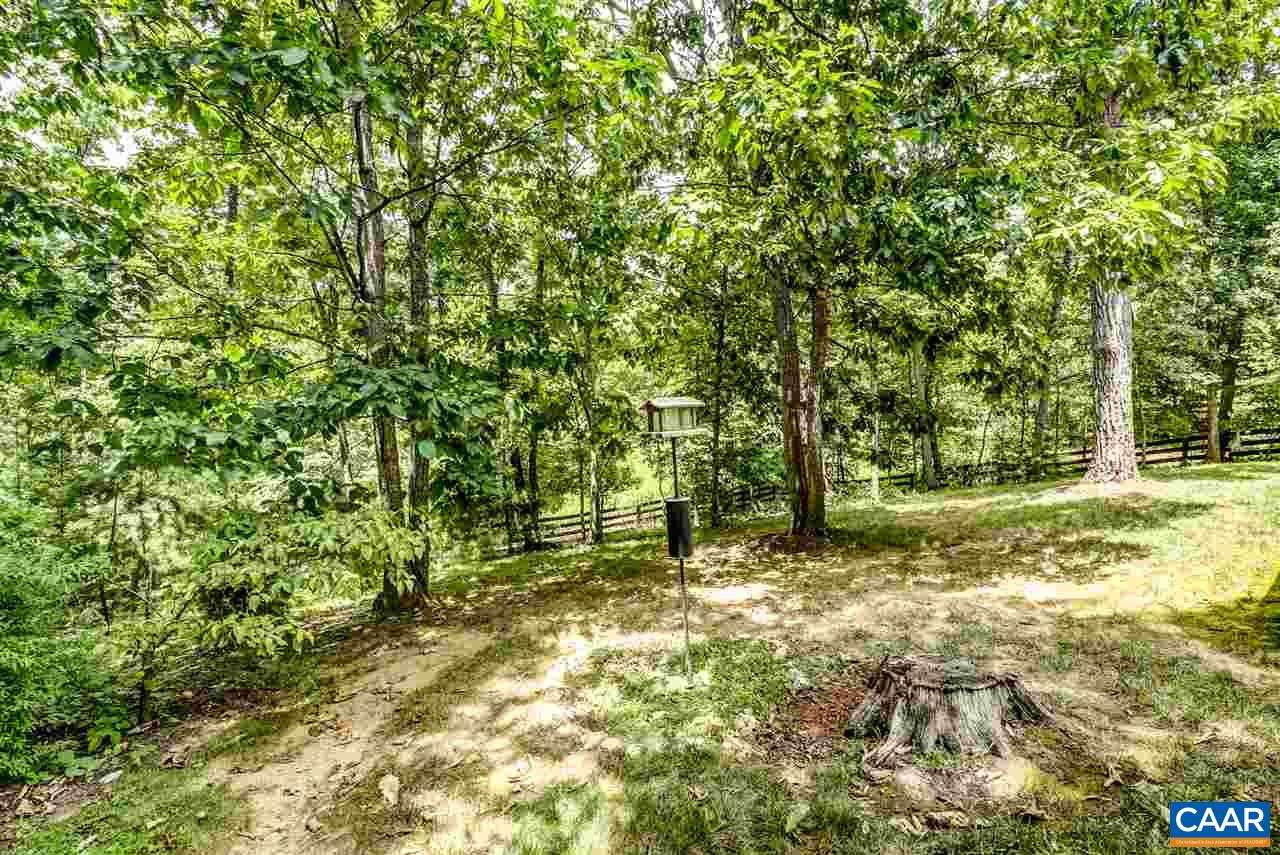 3465 Darby Road Keswick, VA 22947 - Photo 40 of 48 a view of a yard with plants and trees