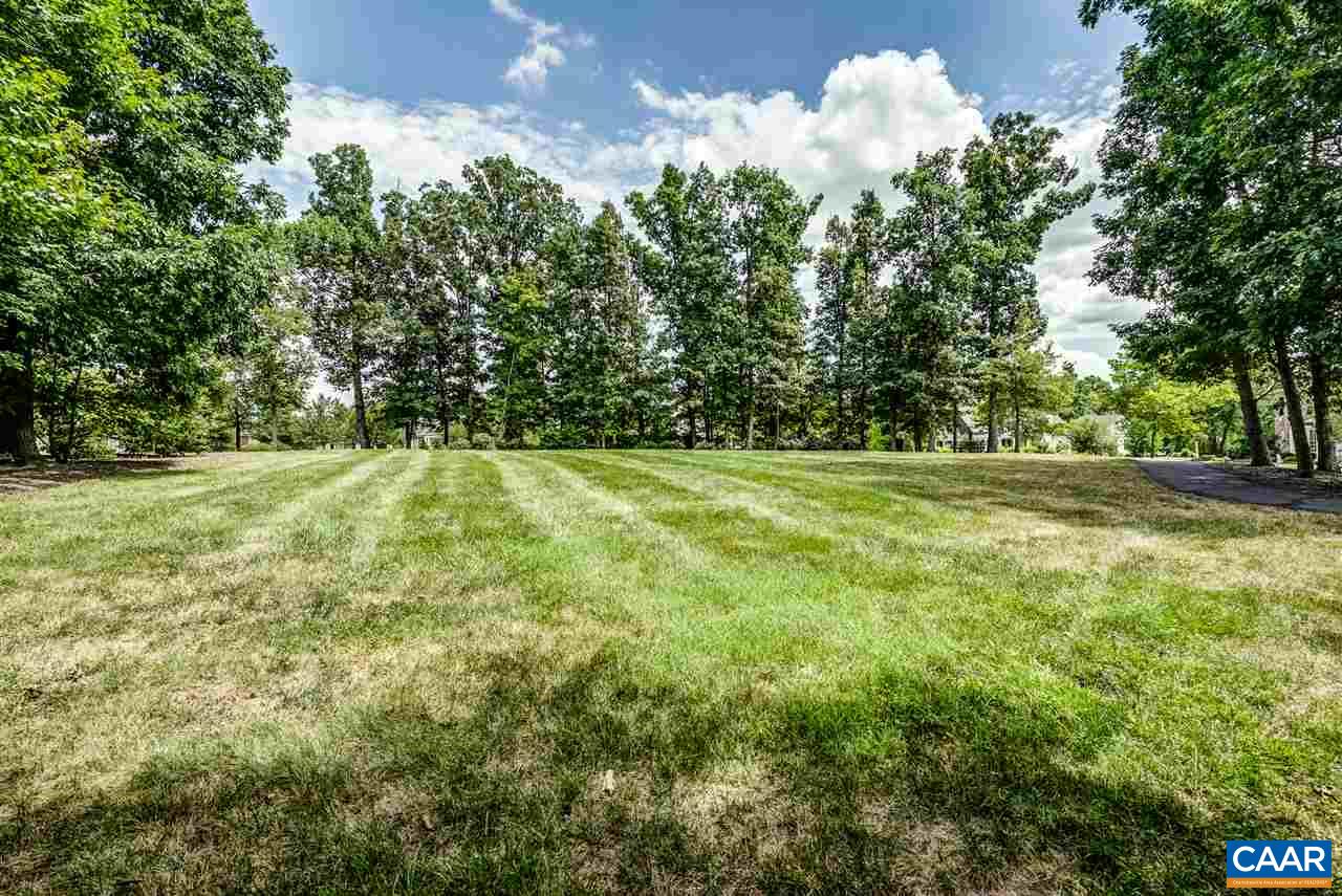 3465 Darby Road Keswick, VA 22947 - Photo 45 of 48 a view of outdoor space with green field and trees all around