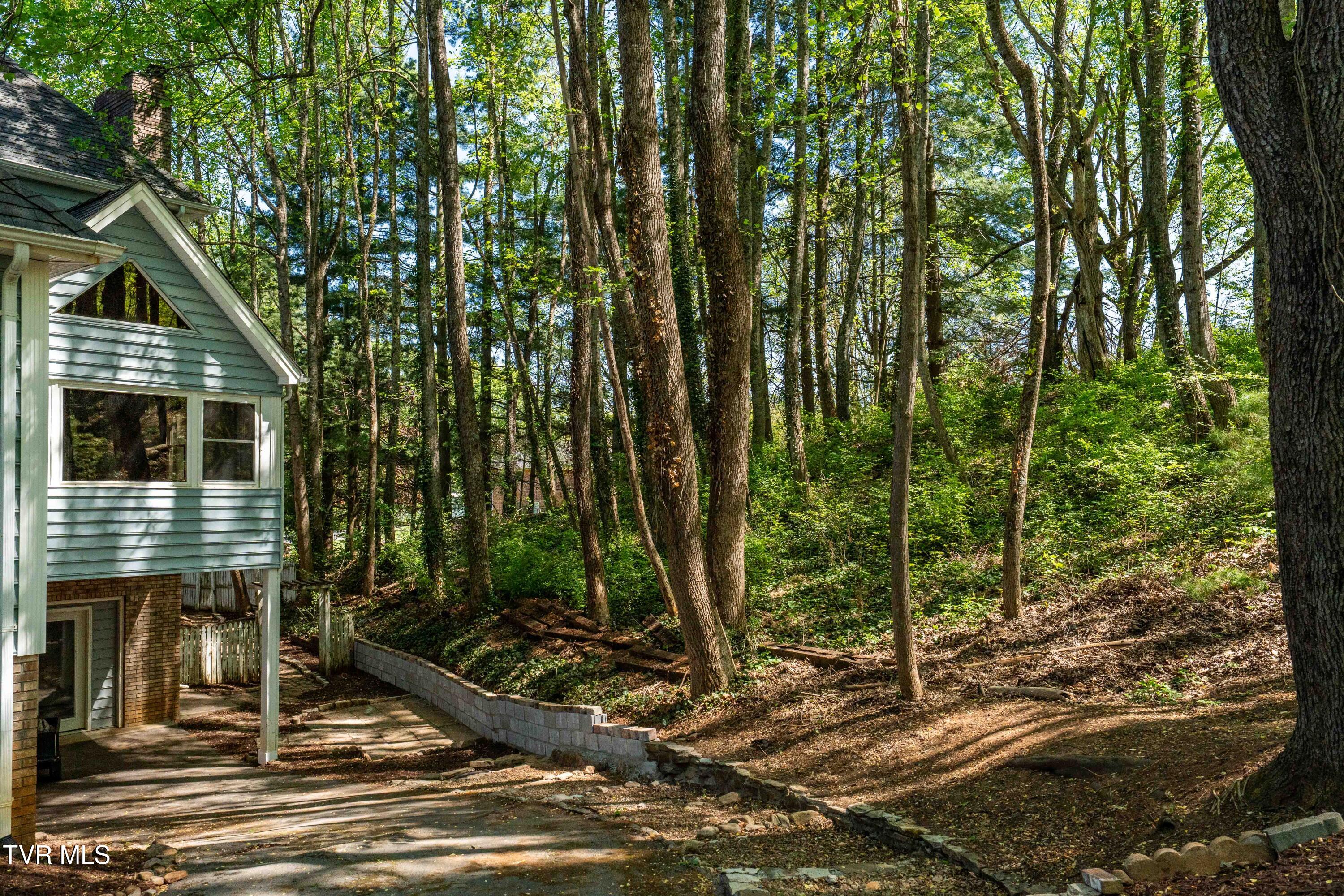 101 Knobb Hill Road Johnson City, TN 37601 - Photo 79 of 114 101 Knobb Hill Rd (52 of 118)
