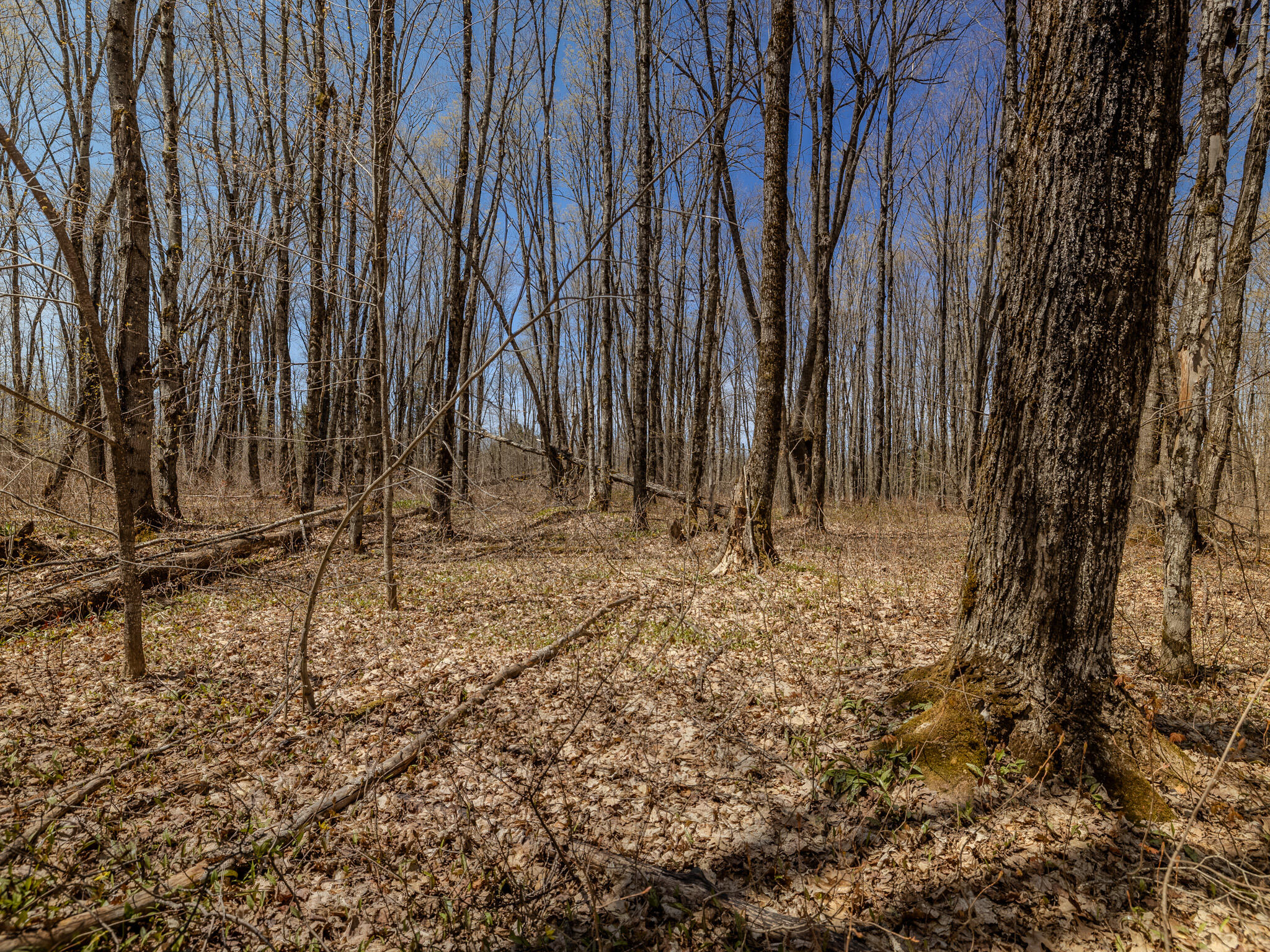 Lot3 East Shore Road Ewen, MI 49925 - Photo 11 of 25 048A2043-HDR