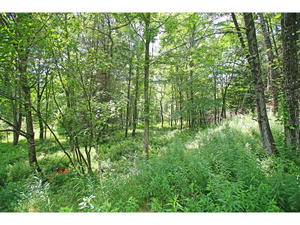 4776 Duck Pond Road Waterford, VT 05819 - Photo 14 of 34