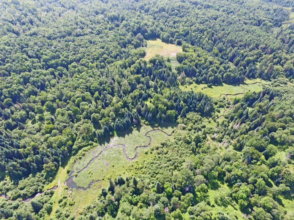 4776 Duck Pond Road Waterford, VT 05819 - Photo 5 of 34