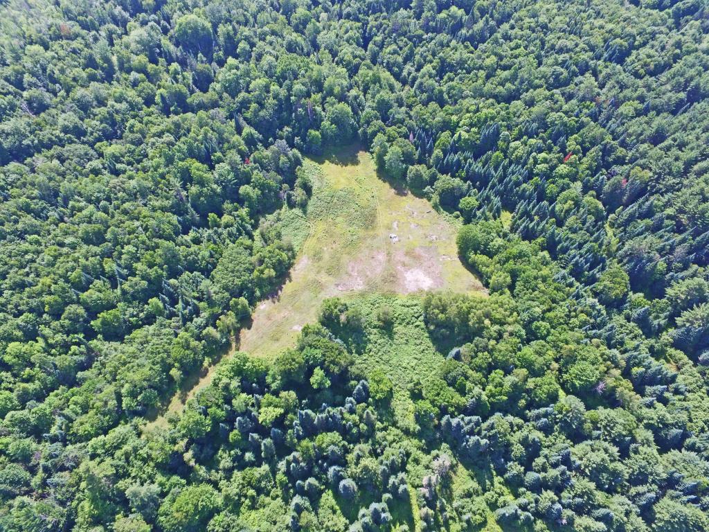 4776 Duck Pond Road Waterford, VT 05819 - Photo 6 of 34