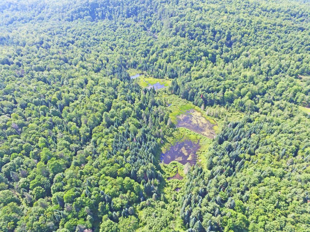 4776 Duck Pond Road Waterford, VT 05819 - Photo 7 of 34