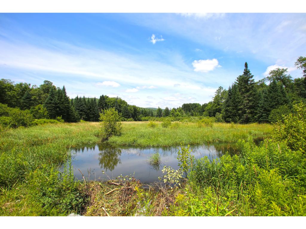 4776 Duck Pond Road Waterford, VT 05819 - Photo 10 of 34