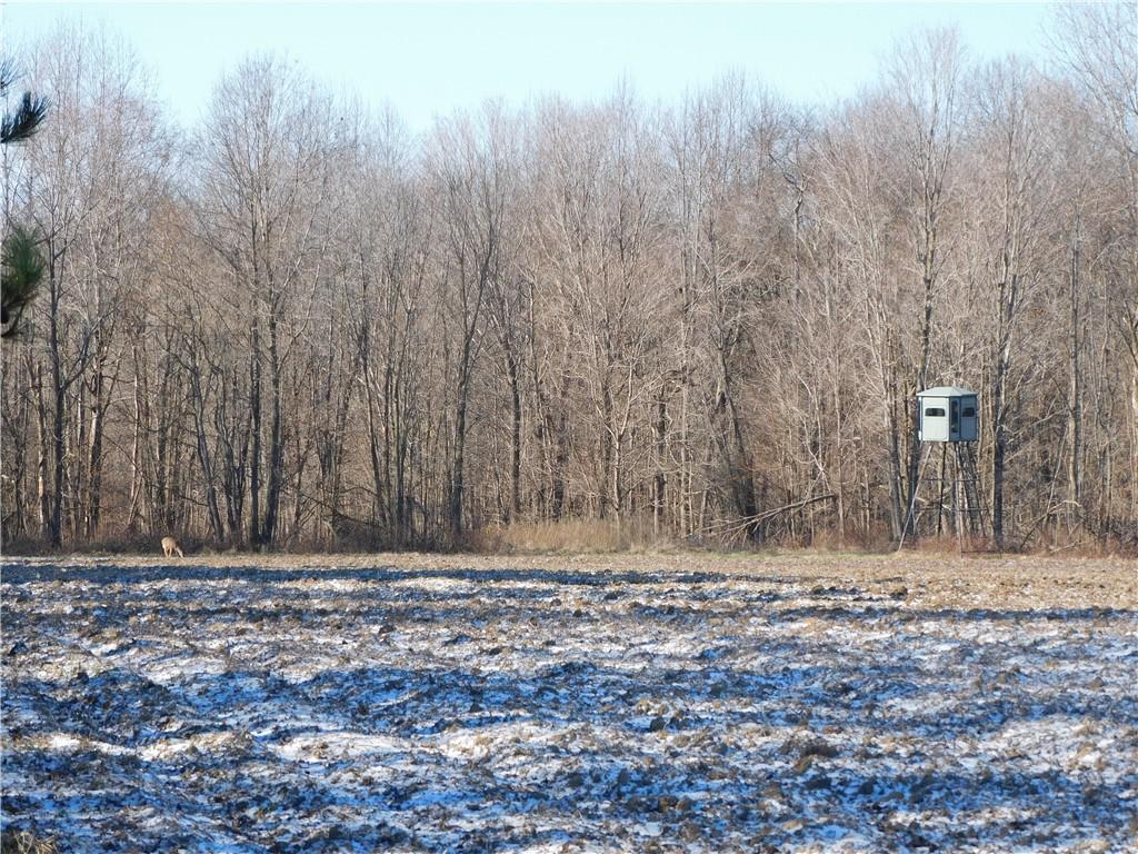 4198 Hook Road Rockville, IN 47872 - Photo 2 of 12 Gallery Image 2