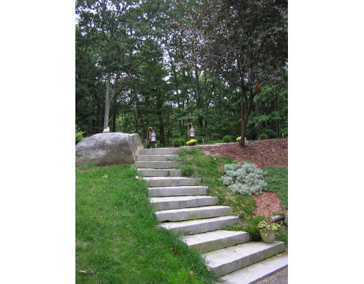 495 West Sturbridge Road East Brookfield, MA 01515 - Photo 12 of 13 a view of a yard with plants and large trees