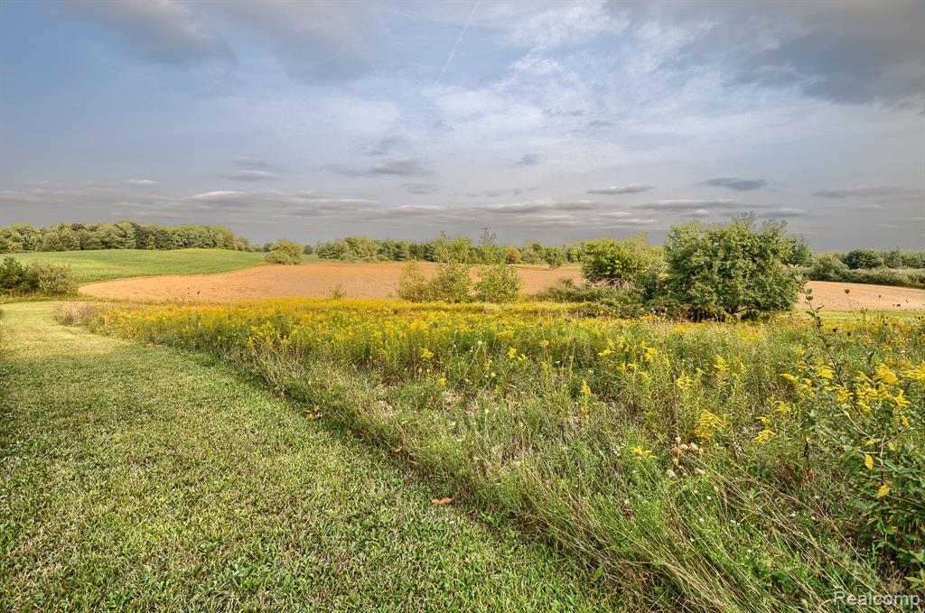 4431 Gosline Road Marlette, MI 48453 - Photo 47 of 67