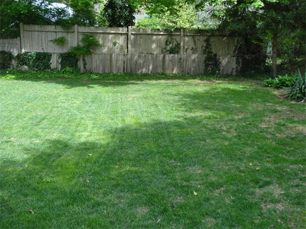 798 Worcester Street Wellesley, MA 02482 - Photo 20 of 20 a garden with trees