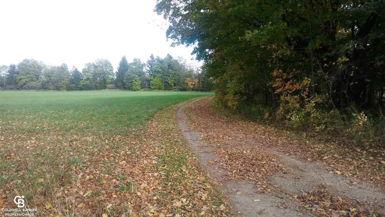 8655 Cork Road Yale, MI 48097 - Photo 32 of 50 Gallery Image 32