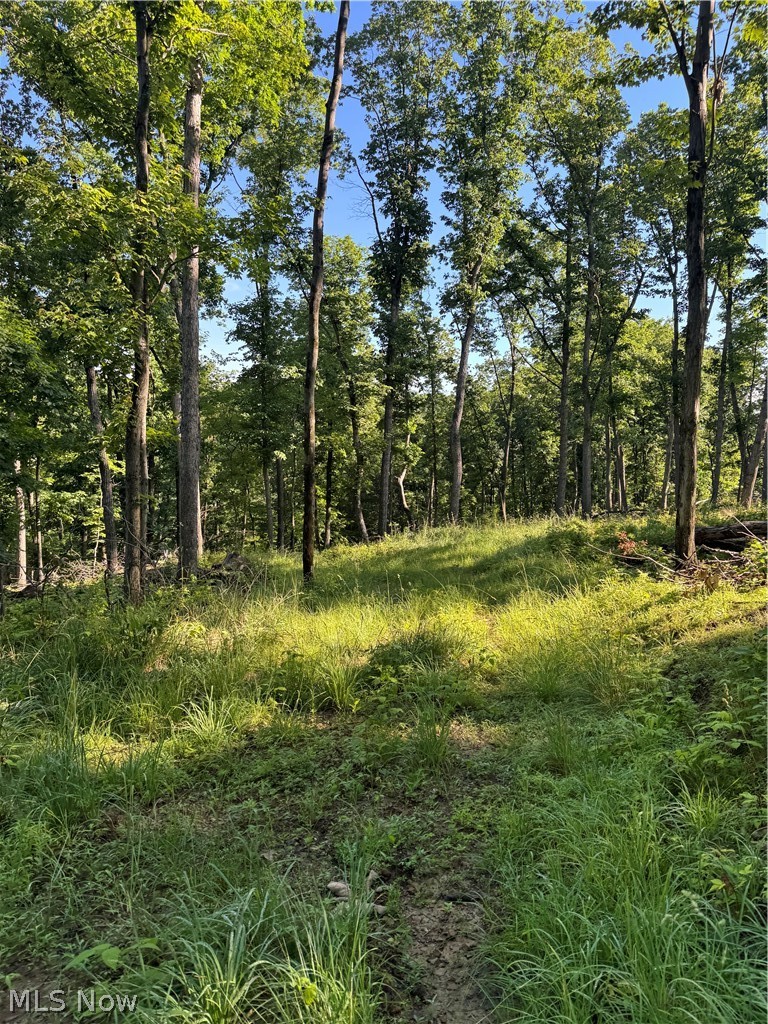 Stone Quarry Road Danville, OH 43014 - Photo 11 of 50