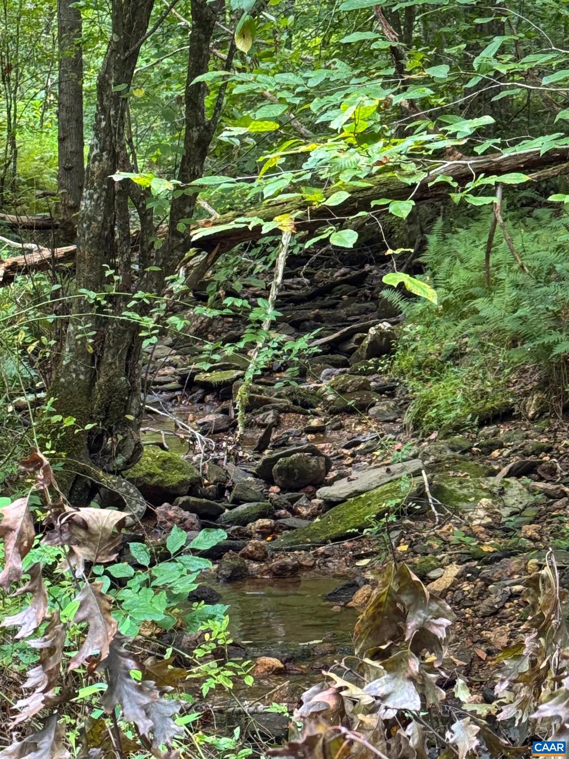 Tba Old Green Mountain Road, Unit 500 Esmont, VA 22937 - Photo 6 of 33