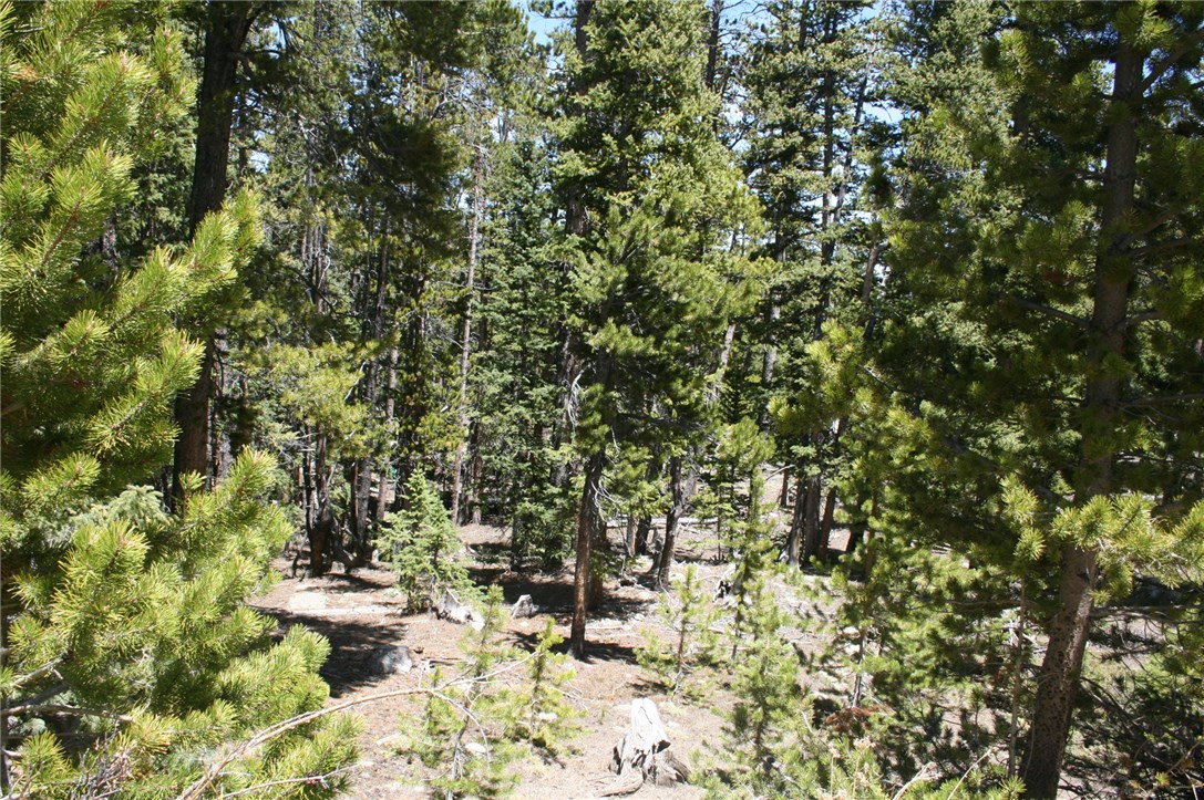 151 Dry Gulch Road Fairplay, CO 80440 - Photo 16 of 19 Gallery Image 16