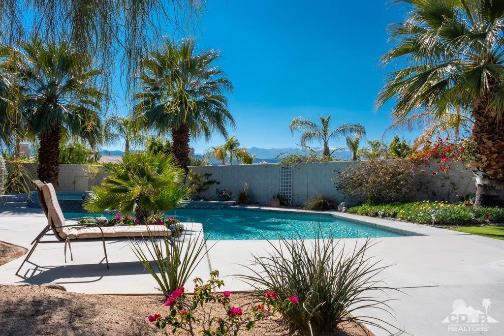 19 Napoleon Road Rancho Mirage, CA 92270 - Photo 21 of 41 a view of a backyard with plants and palm tree