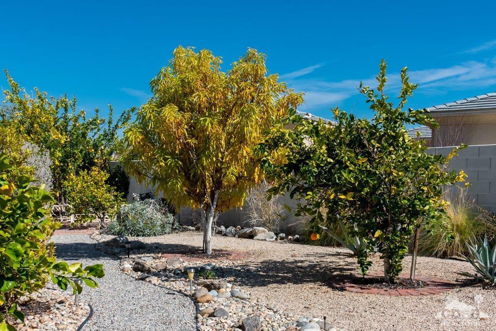 19 Napoleon Road Rancho Mirage, CA 92270 - Photo 31 of 41 a view of a tree with a yard
