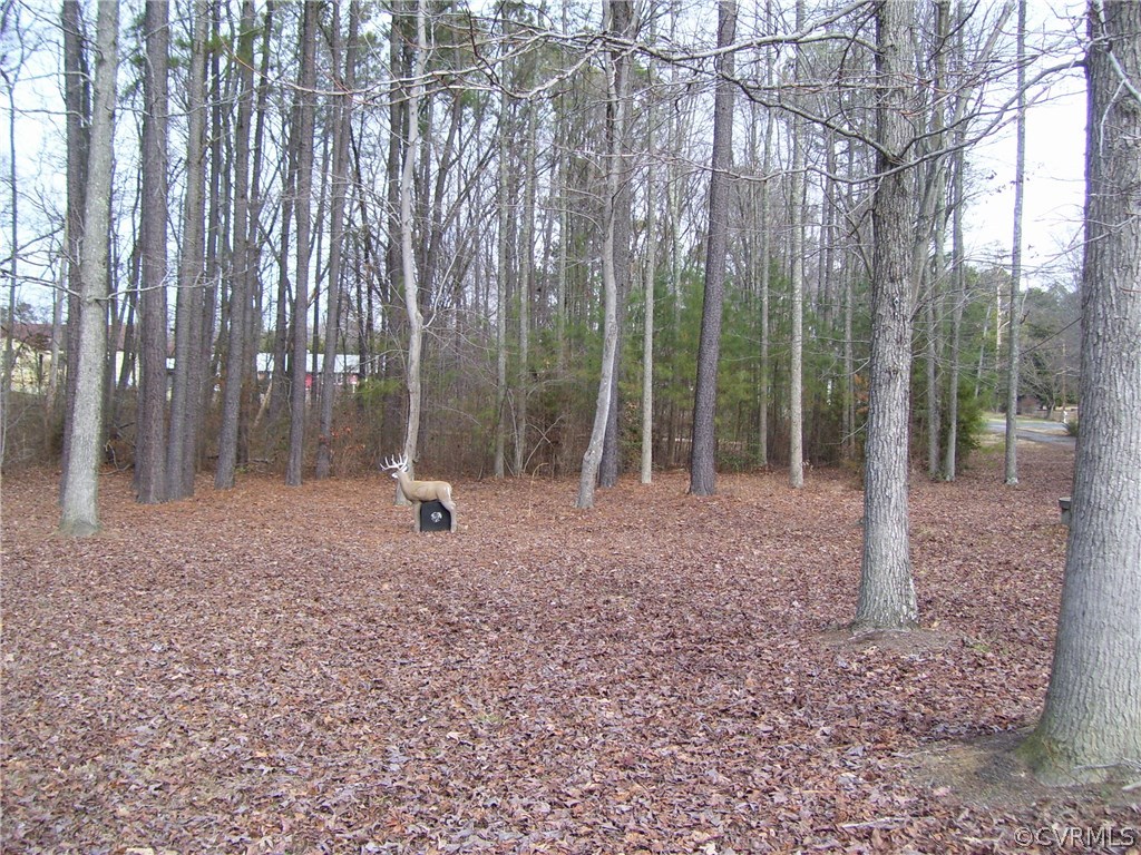 1799 Meadow Road Sandston, VA 23150 - Photo 9 of 14 Gallery Image 9