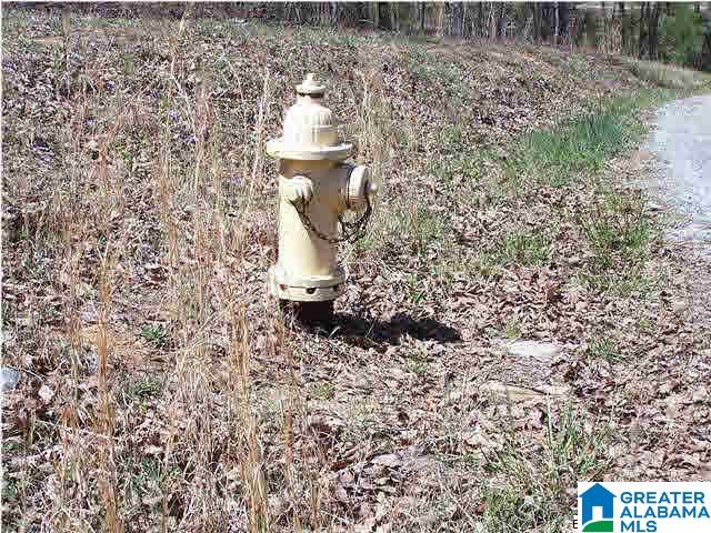 0 Homestead Lane Remlap, AL 35133 - Photo 3 of 23