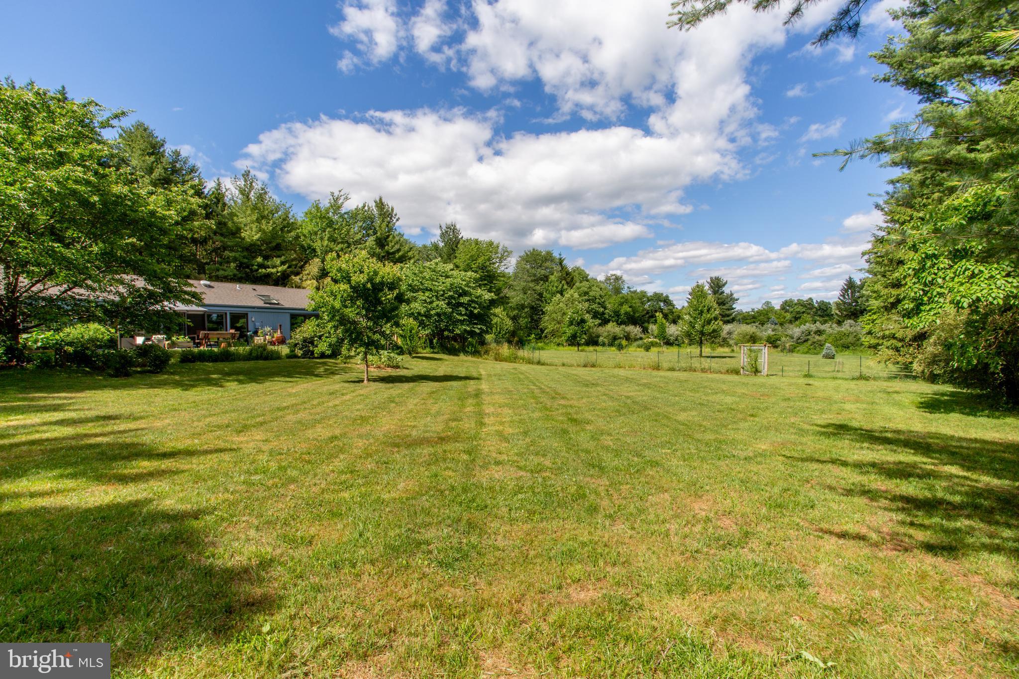 1024 Cokesbury Califon Road Lebanon, NJ 08833 - Photo 37 of 47 Yard