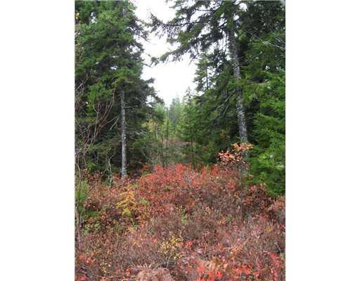 0 Big Moose Road Bass Harbor, ME 04653 - Photo 2 of 3 Land/Lot.