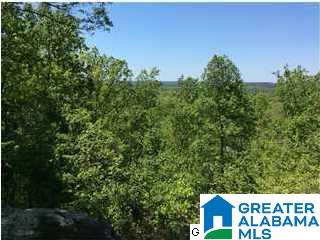 40 Shades Crest Road Birmingham, AL 35226 - Photo 31 of 32