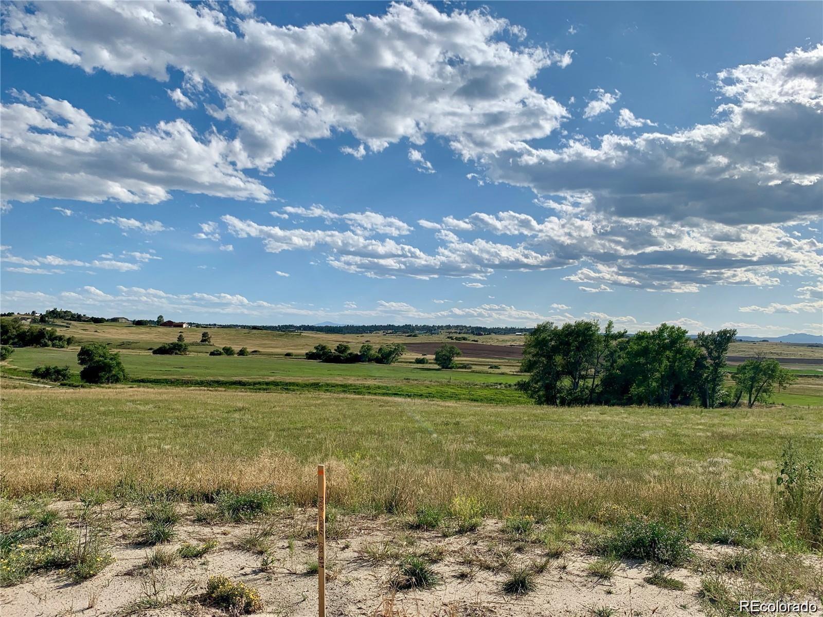 3163 Red Kit Road Franktown, CO 80116 - Photo 3 of 3 Gallery Image 3