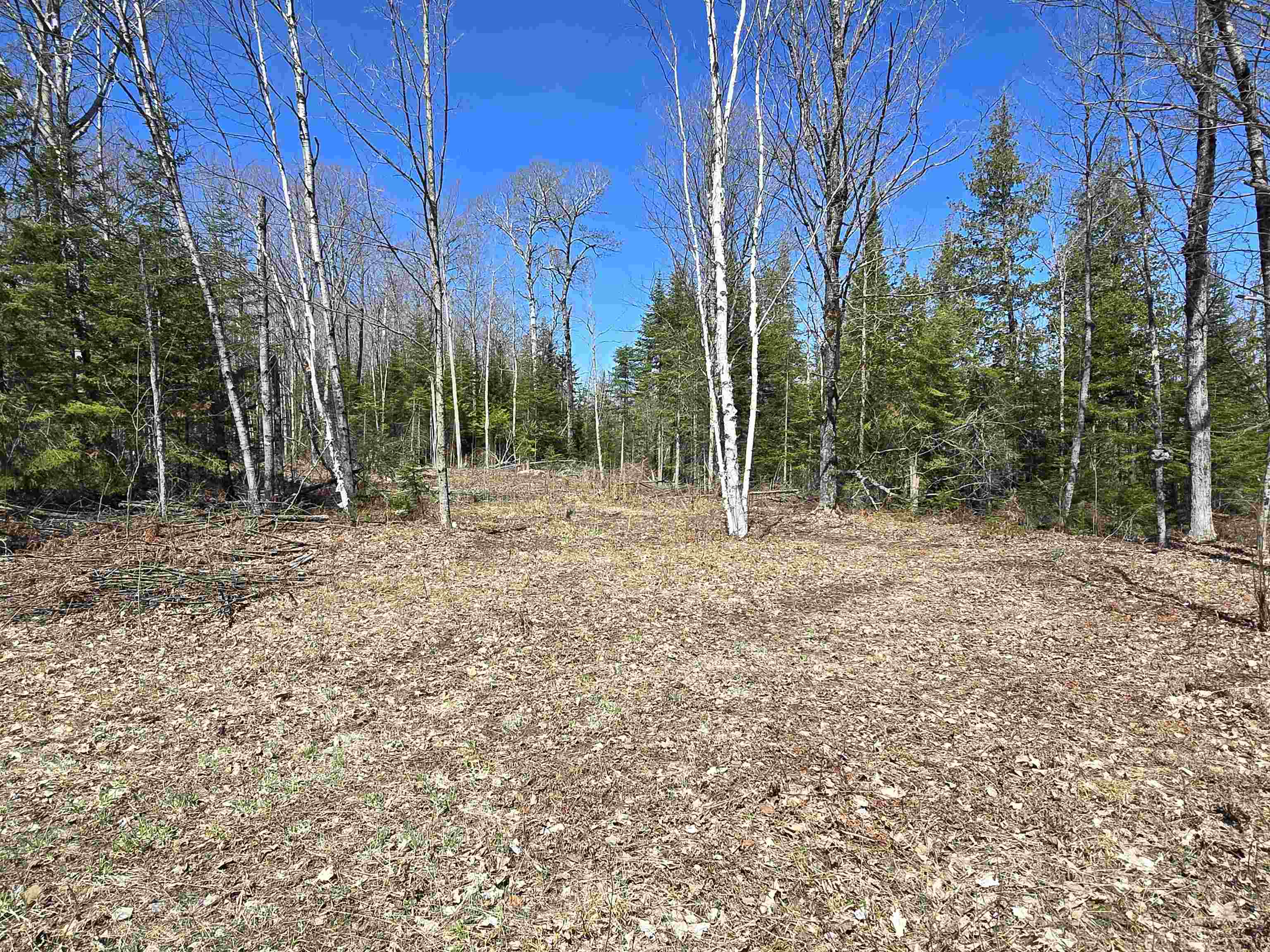 12770 Paradise Lake Road Levering, MI 49755 - Photo 39 of 47 Gallery Image 39