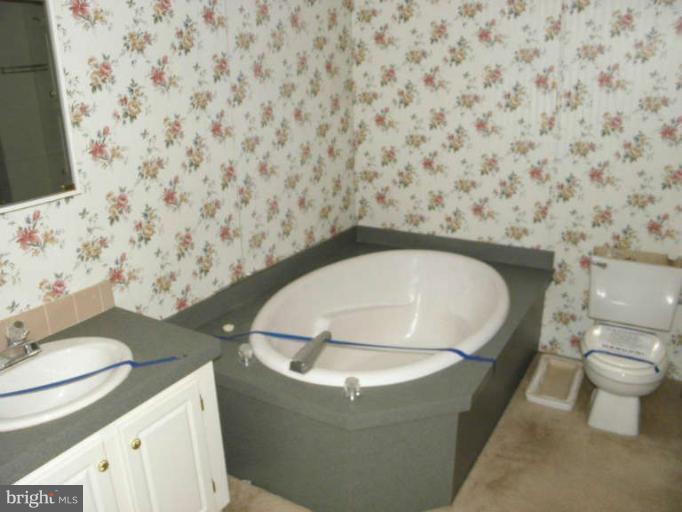 6045 Slate Mills Road Boston, VA 22713 - Photo 13 of 30 Bath (Master)