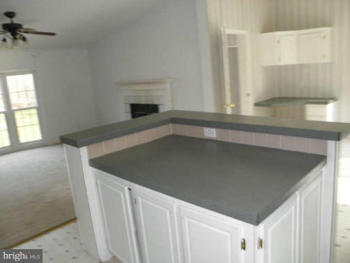 6045 Slate Mills Road Boston, VA 22713 - Photo 8 of 30 Kitchen