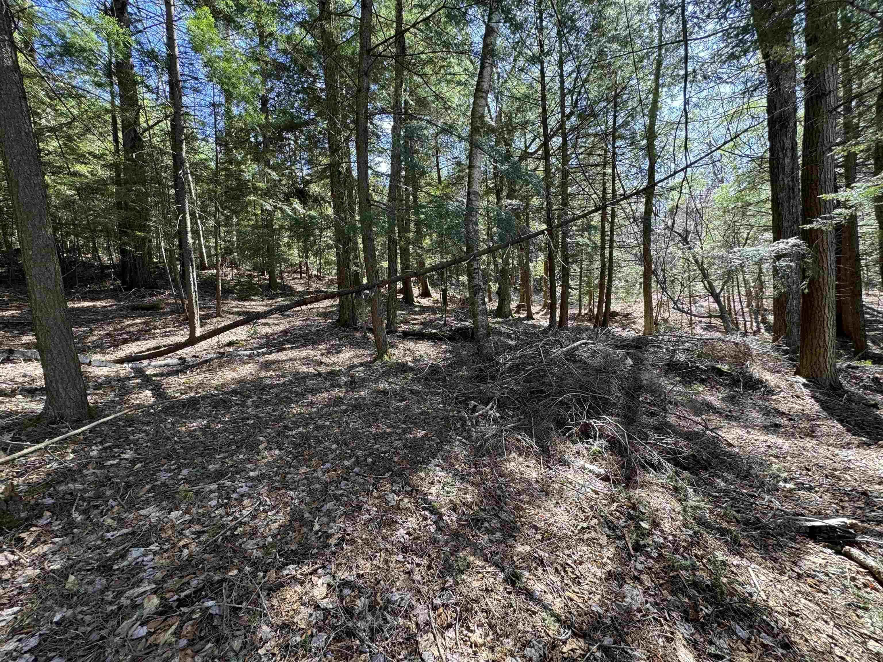 0 Crescent Lake Road Newport, NH 03773 - Photo 6 of 17