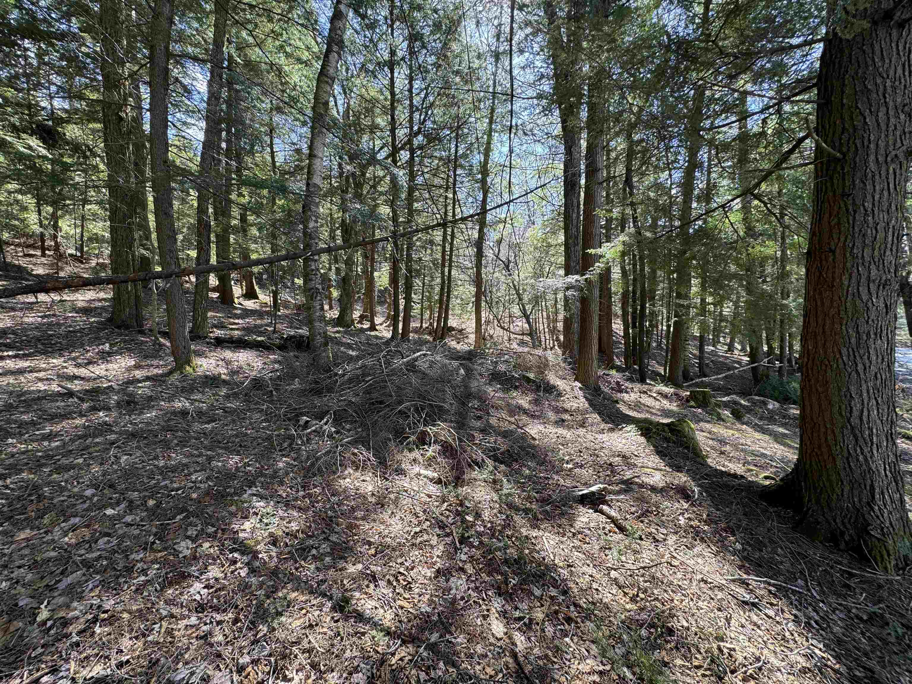 0 Crescent Lake Road Newport, NH 03773 - Photo 8 of 17