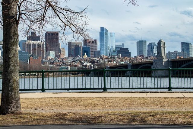 a front view of a house having yard