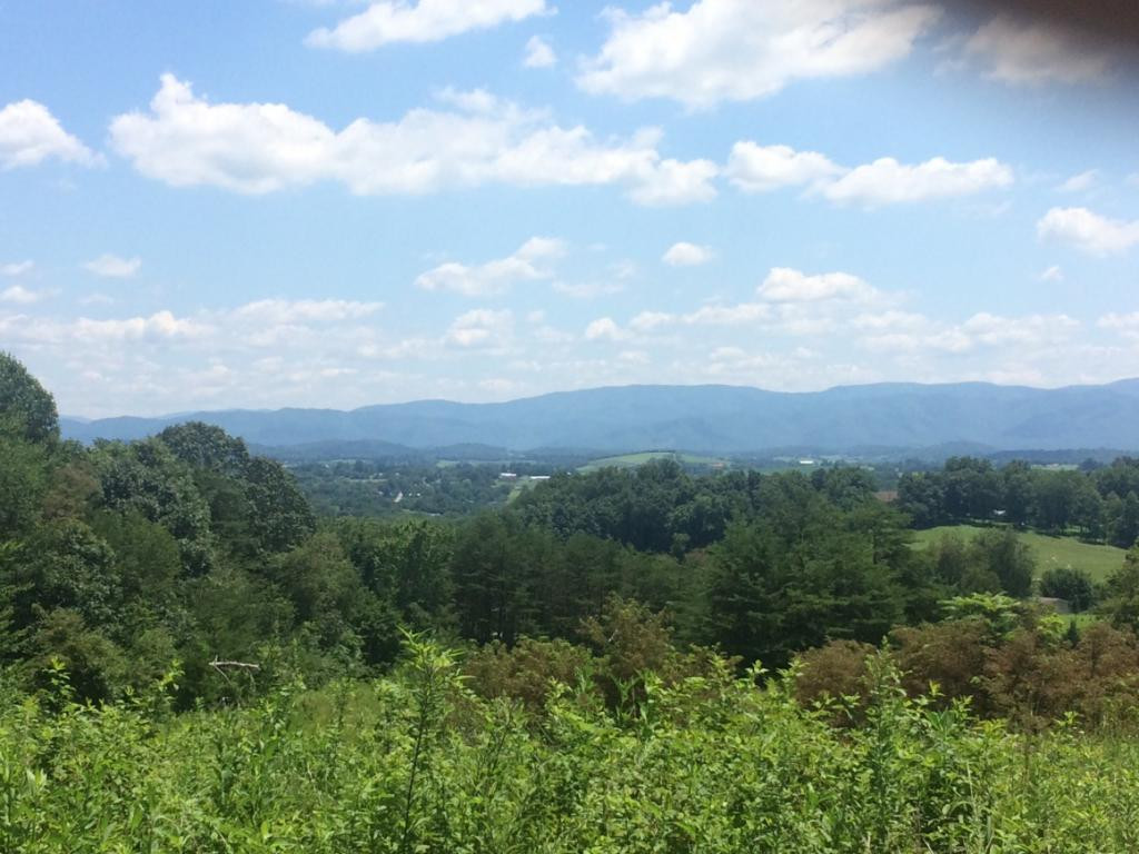 121 Price Road Limestone, TN 37681 - Photo 1 of 3 Photo 1