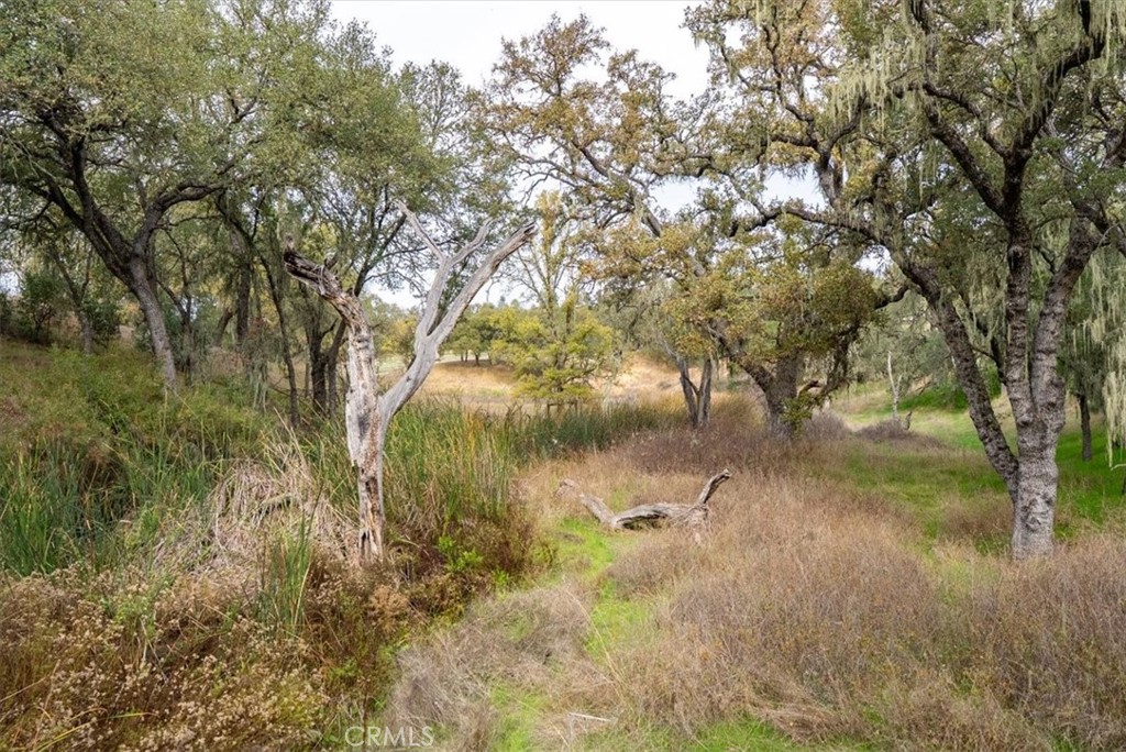 1505 Barley Grain Road Paso Robles, CA 93446 - Photo 43 of 56