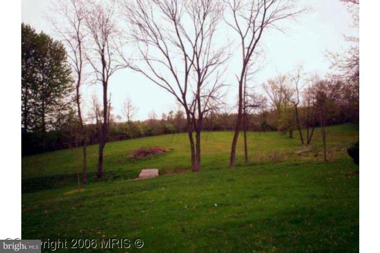 39558 Rodeffer Road Lovettsville, VA 20180 - Photo 11 of 18 Wooded View / Acreage