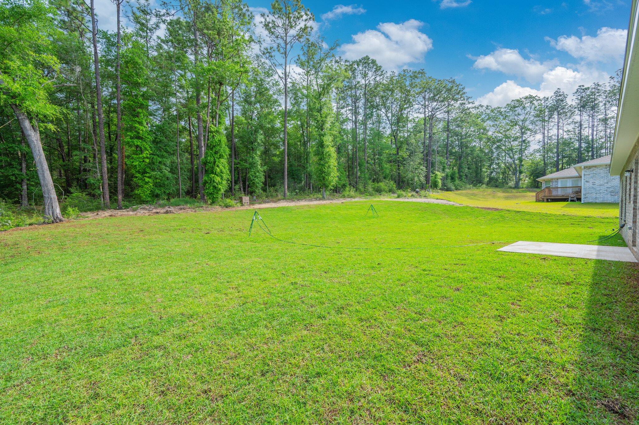 3929 Poverty Creek Road Crestview, FL 32539 - Photo 36 of 37 a view of a trees in a yard