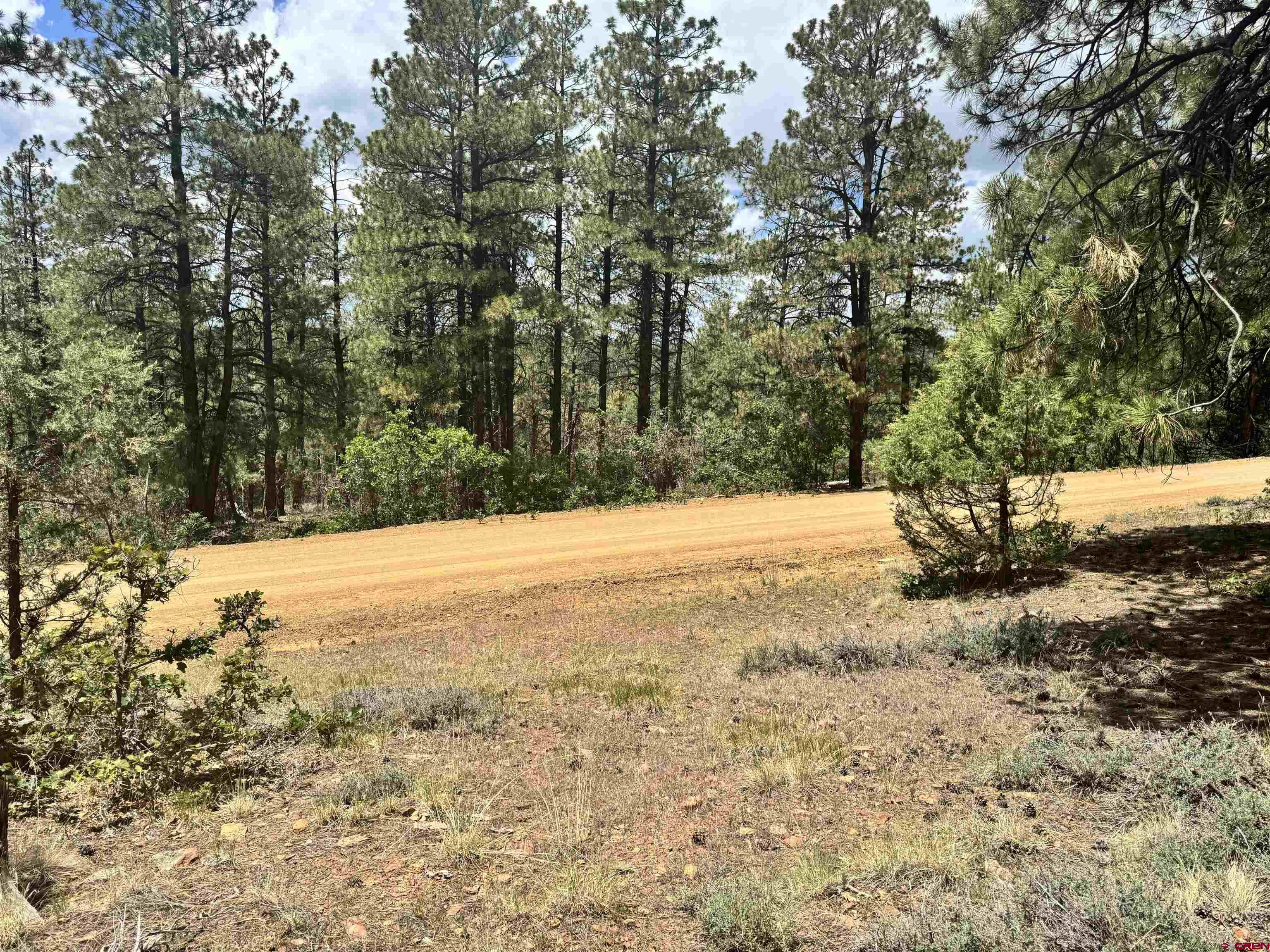 1259 Westview Road Pagosa Springs, CO 81147 - Photo 26 of 29