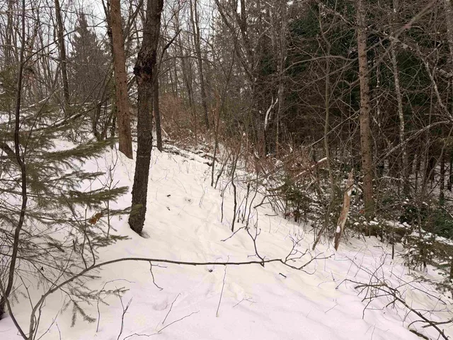 $68,000 | Forest Hill Drive, Townsend, WI 54175